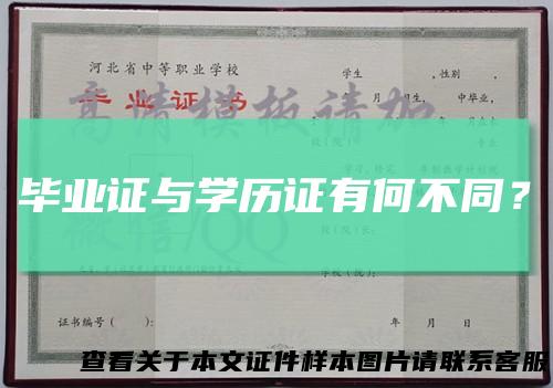 毕业证与学历证有何不同?