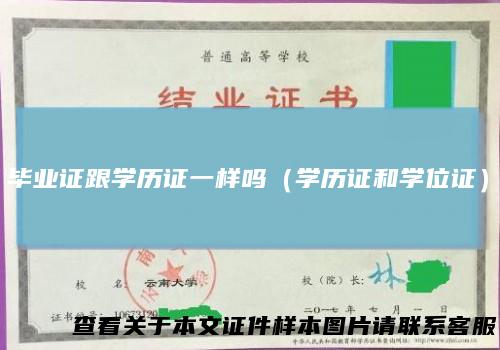 毕业证跟学历证一样吗（学历证和学位证）