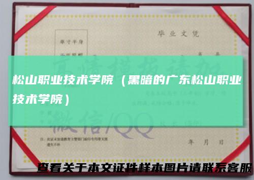 松山职业技术学院(黑暗的广东松山职业技术学院)