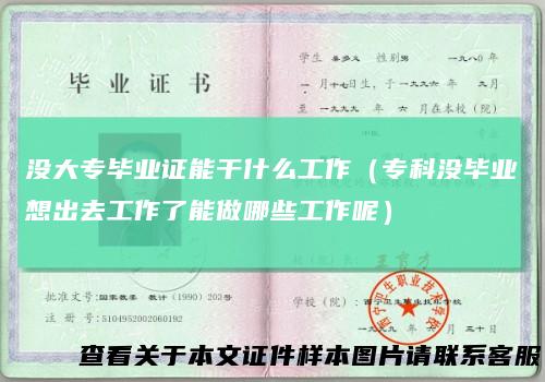 没大专毕业证能干什么工作(专科没毕业想出去工作了能做哪些工作呢)