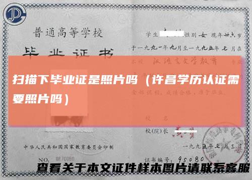 扫描下毕业证是照片吗(许昌学历认证需要照片吗)