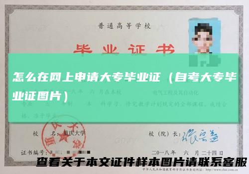 怎么在网上申请大专毕业证（自考大专毕业证图片）