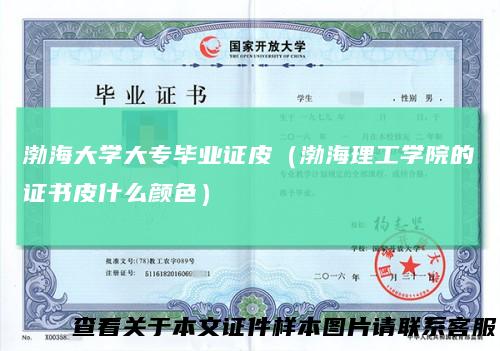 渤海大学大专毕业证皮（渤海理工学院的证书皮什么颜色）