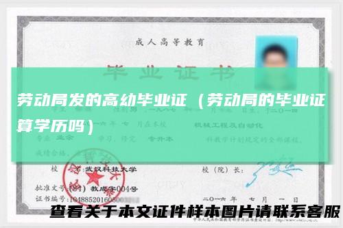 劳动局发的高幼毕业证（劳动局的毕业证算学历吗）