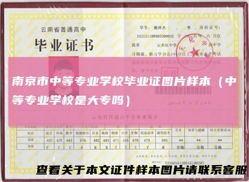 南京市中等专业学校毕业证图片样本(中等专业学校是大专吗)