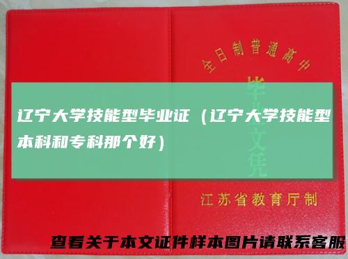 辽宁大学技能型毕业证(辽宁大学技能型本科和专科那个好)