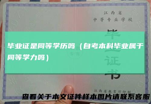 毕业证是同等学历吗（自考本科毕业属于同等学力吗）