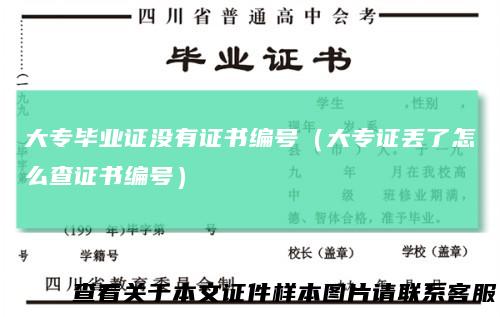大专毕业证没有证书编号(大专证丢了怎么查证书编号)
