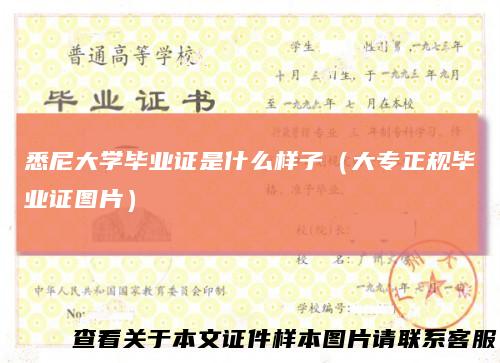 悉尼大学毕业证是什么样子(大专正规毕业证图片)