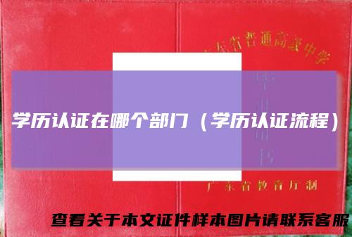 学历认证在哪个部门(学历认证流程)