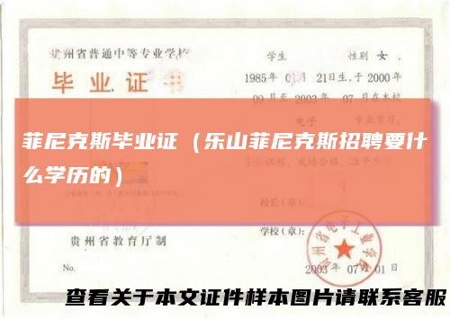 菲尼克斯毕业证(乐山菲尼克斯招聘要什么学历的)