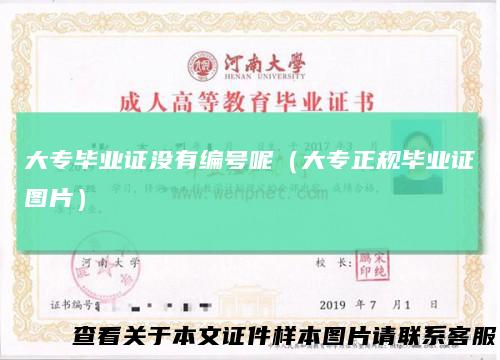 大专毕业证没有编号呢(大专正规毕业证图片)