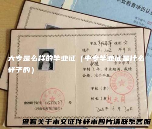 大专是么样的毕业证（中专毕业证是什么样子的）