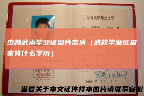 少林武术毕业证图片高清（武校毕业证国家算什么学历）