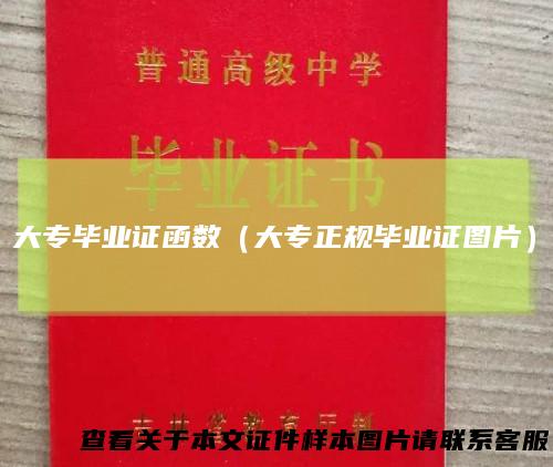 大专毕业证函数(大专正规毕业证图片)