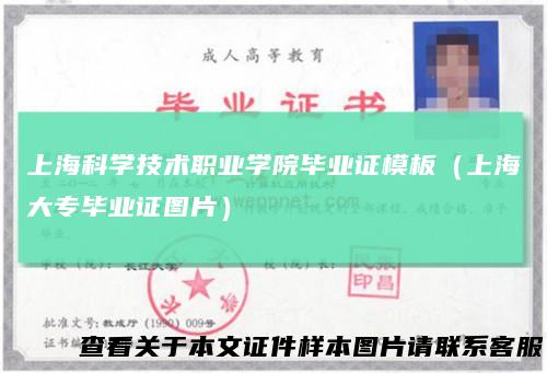 上海科学技术职业学院毕业证模板（上海大专毕业证图片）