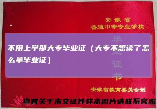 不用上学那大专毕业证（大专不想读了怎么拿毕业证）