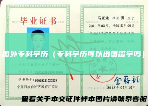 国外专科学历(专科学历可以出国留学吗)