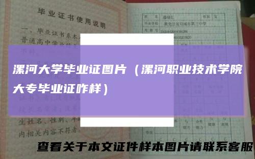 漯河大学毕业证图片（漯河职业技术学院大专毕业证咋样）