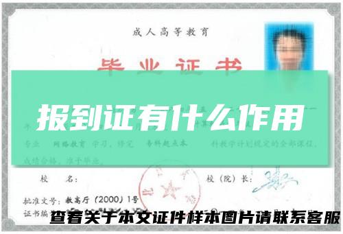 报到证有什么作用