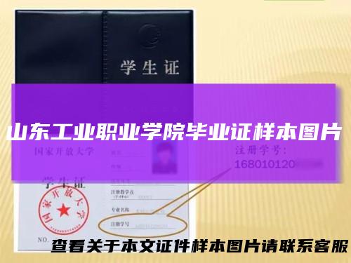山东工业职业学院毕业证样本图片