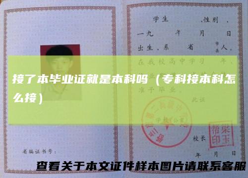 接了本毕业证就是本科吗（专科接本科怎么接）