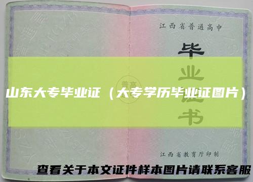 山东大专毕业证（大专学历毕业证图片）