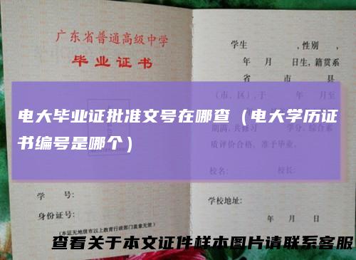 电大毕业证批准文号在哪查（电大学历证书编号是哪个）