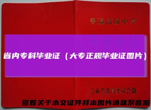 省内专科毕业证（大专正规毕业证图片）