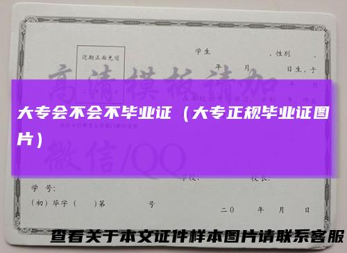 大专会不会不毕业证(大专正规毕业证图片)