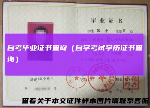 自考毕业证书查询（自学考试学历证书查询）