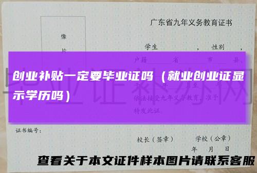 创业补贴一定要毕业证吗（就业创业证显示学历吗）
