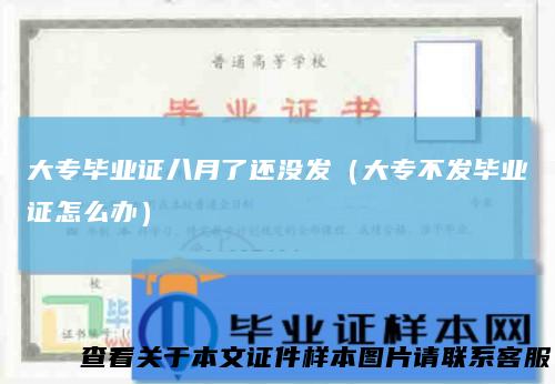 大专毕业证八月了还没发（大专不发毕业证怎么办）