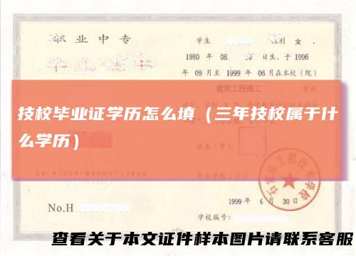 技校毕业证学历怎么填（三年技校属于什么学历）