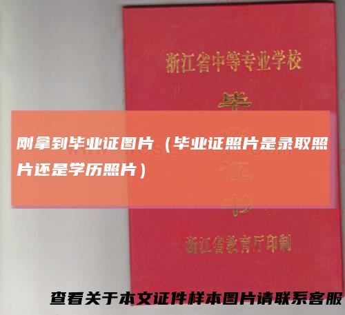 刚拿到毕业证图片（毕业证照片是录取照片还是学历照片）