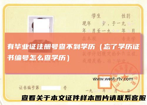 有毕业证注册号查不到学历（忘了学历证书编号怎么查学历）