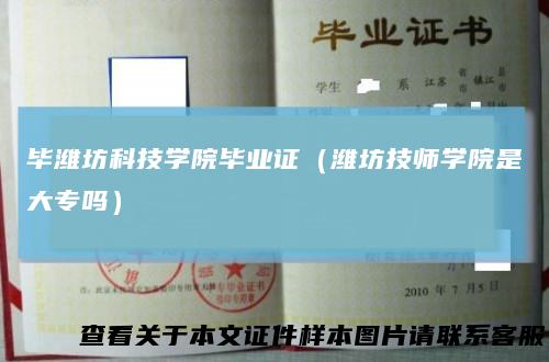 毕潍坊科技学院毕业证(潍坊技师学院是大专吗)