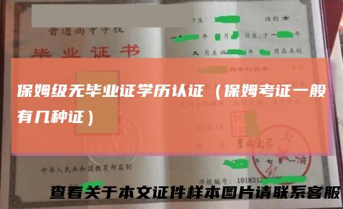 保姆级无毕业证学历认证(保姆考证一般有几种证)