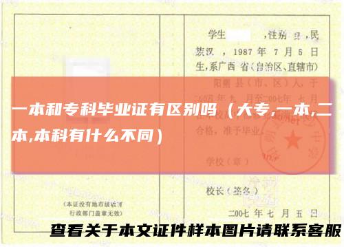 一本和专科毕业证有区别吗(大专,一本,二本,本科有什么不同)