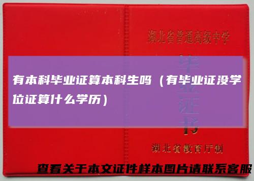 有本科毕业证算本科生吗(有毕业证没学位证算什么学历)