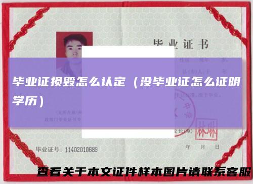 毕业证损毁怎么认定(没毕业证怎么证明学历)