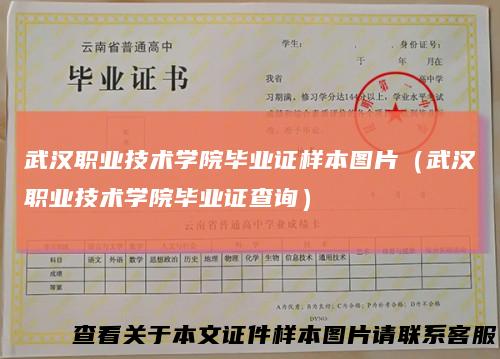 武汉职业技术学院毕业证样本图片（武汉职业技术学院毕业证查询）