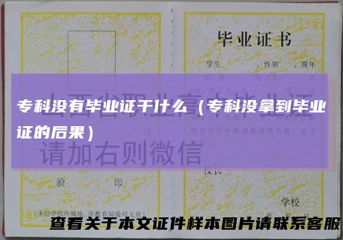 专科没有毕业证干什么(专科没拿到毕业证的后果)
