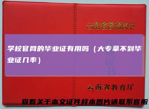 学校官网的毕业证有用吗（大专拿不到毕业证几率）