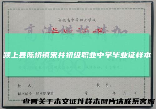 颍上县陈桥镇宋井初级职业中学毕业证样本