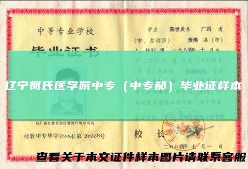 辽宁何氏医学院中专（中专部）毕业证样本