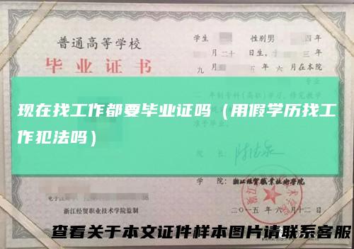 现在找工作都要毕业证吗（用假学历找工作犯法吗）