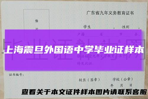 上海震旦外国语中学毕业证样本