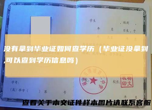 没有拿到毕业证如何查学历（毕业证没拿到,可以查到学历信息吗）