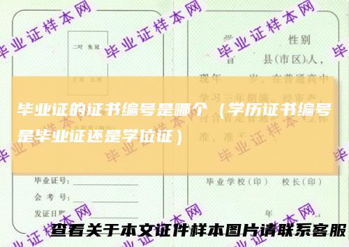 毕业证的证书编号是哪个(学历证书编号是毕业证还是学位证)